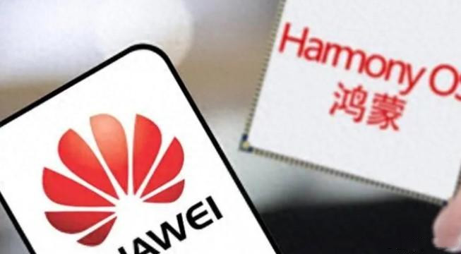 1697533485397708.jpg 1-2.jpg