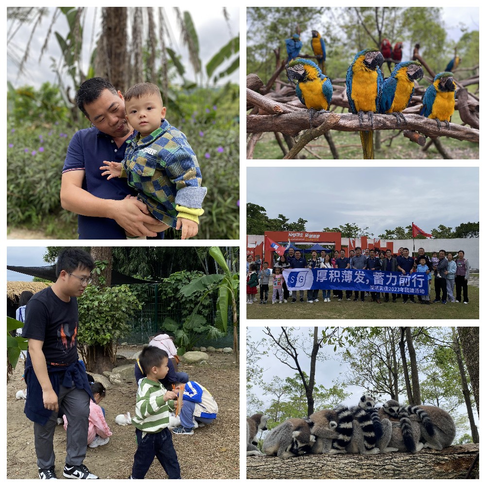 厚積薄發(fā),蓄力前行:大手牽小手,共圓實佳夢 厚積薄發(fā),蓄力前行:大手牽小手,共圓實佳夢
