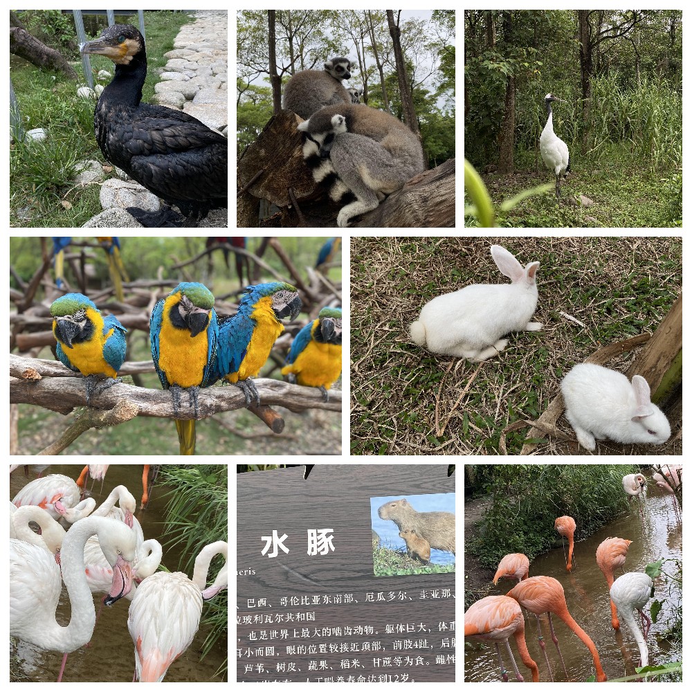 厚積薄發(fā),蓄力前行:大手牽小手,共圓實佳夢 厚積薄發(fā),蓄力前行:大手牽小手,共圓實佳夢